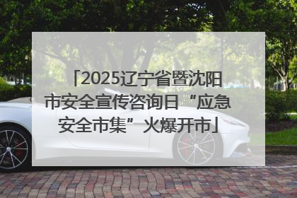 2025辽宁省暨沈阳市安全宣传咨询日“应急安全市集”火爆开市