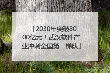 2030年突破8000亿元！武汉软件产业冲刺全国第一梯队