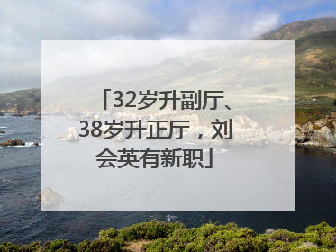 32岁升副厅、38岁升正厅，刘会英有新职