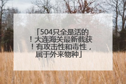 504只全是活的！大连海关最新截获！有攻击性和毒性，属于外来物种