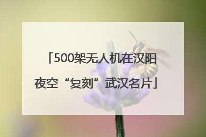 500架无人机在汉阳夜空“复刻”武汉名片
