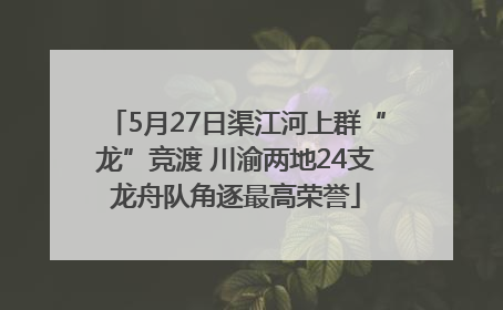 5月27日渠江河上群“龙”竞渡 川渝两地24支龙舟队角逐最高荣誉