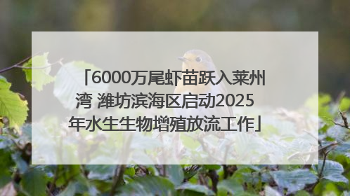 6000万尾虾苗跃入莱州湾 潍坊滨海区启动2025年水生生物增殖放流工作