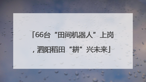 66台“田间机器人”上岗，泗阳稻田“耕”兴未来