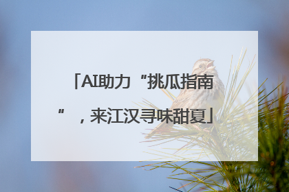 AI助力“挑瓜指南”，来江汉寻味甜夏