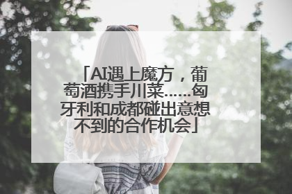 AI遇上魔方，葡萄酒携手川菜……匈牙利和成都碰出意想不到的合作机会
