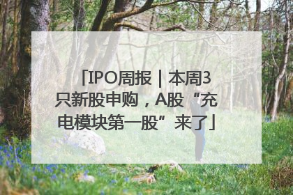 IPO周报｜本周3只新股申购，A股“充电模块第一股”来了