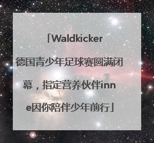 Waldkicker德国青少年足球赛圆满闭幕，指定营养伙伴inne因你陪伴少年前行