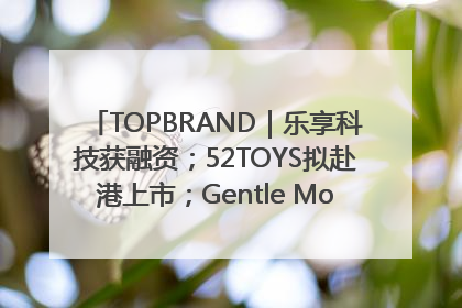 TOPBRAND｜乐享科技获融资；52TOYS拟赴港上市；Gentle Monster合作谷歌；Valentino传播官离职